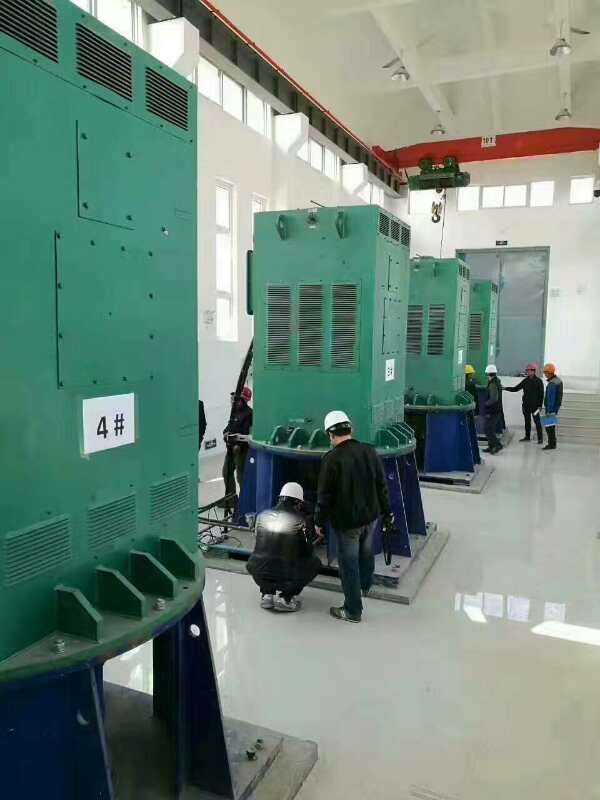 科尔沁左翼中某污水处理厂使用我厂的立式高压电机安装现场